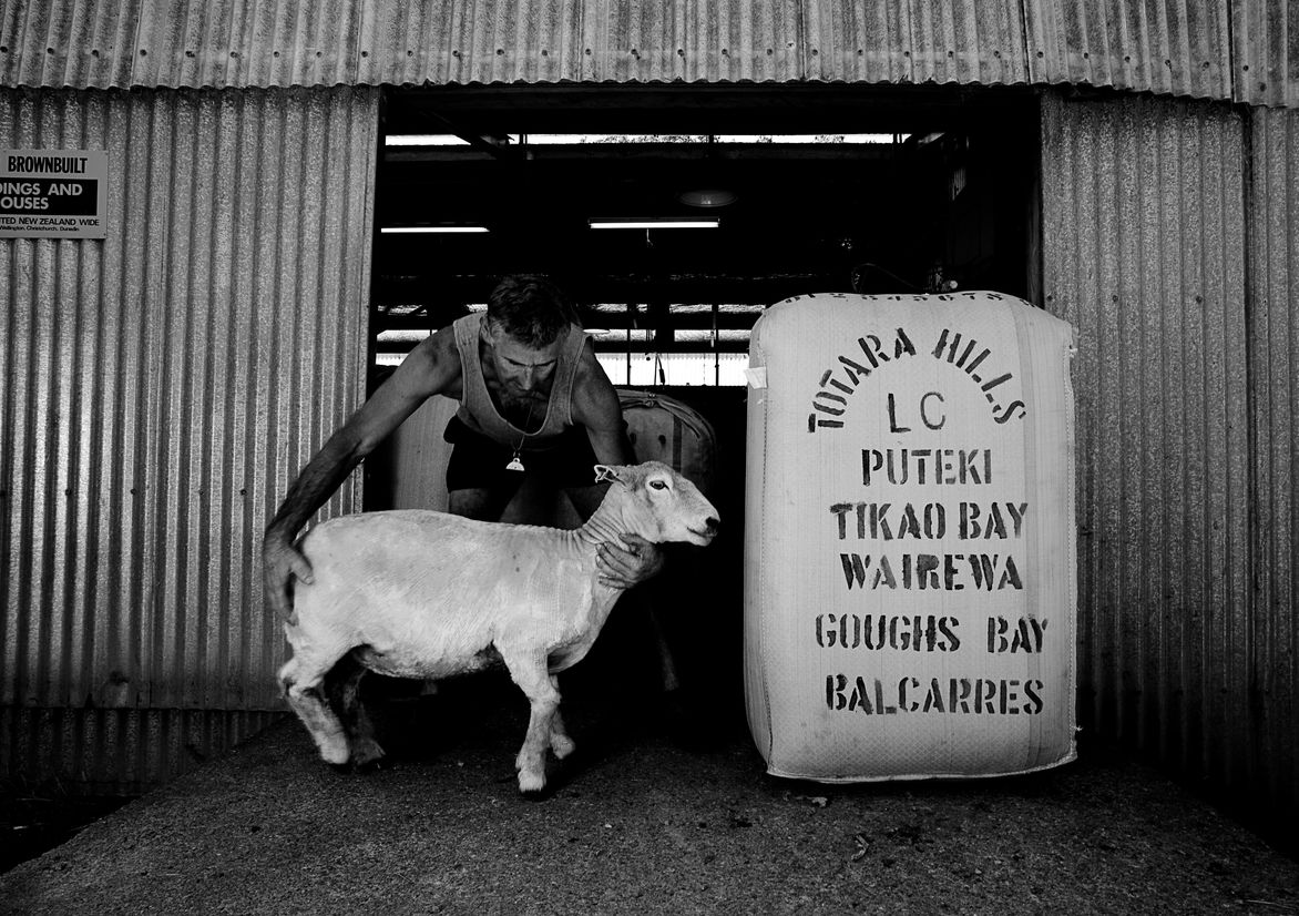 Banks Peninsula Farms Best Awards